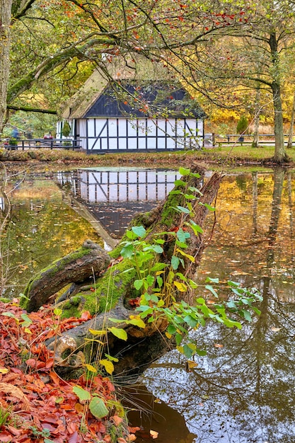 Prachtig park met een meer in de herfst met gele bladeren en planten buiten in de natuur Kinderhuis in de buurt van helder en levendig gebladerte weerspiegeld in vijverwater op een rustige locatie