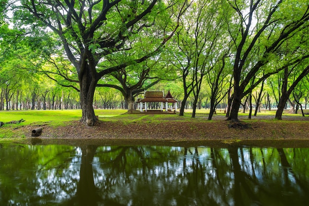 prachtig paviljoen en groen park