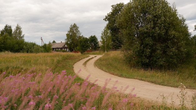 Prachtig rustiek zomerlandschap met weg Oude houten blokhutten Vologda-regio