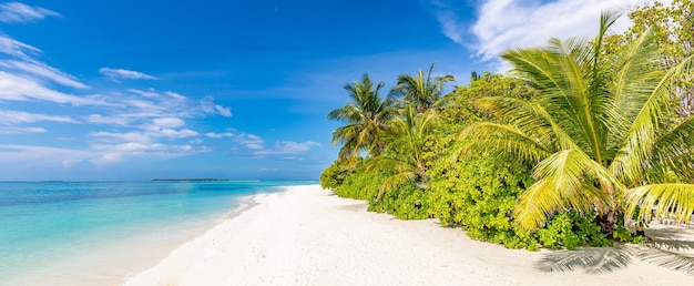 Prachtig rustig landschap. Inspirerend tropisch strand, palmbomen blauw zee baai zonnig hemelzand