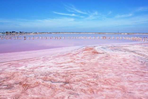 Prachtig rustig landschap met roze zoutmeer