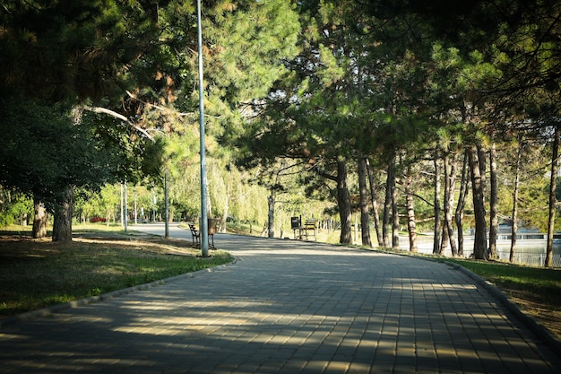 Prachtig stadspark in zonnige ochtend