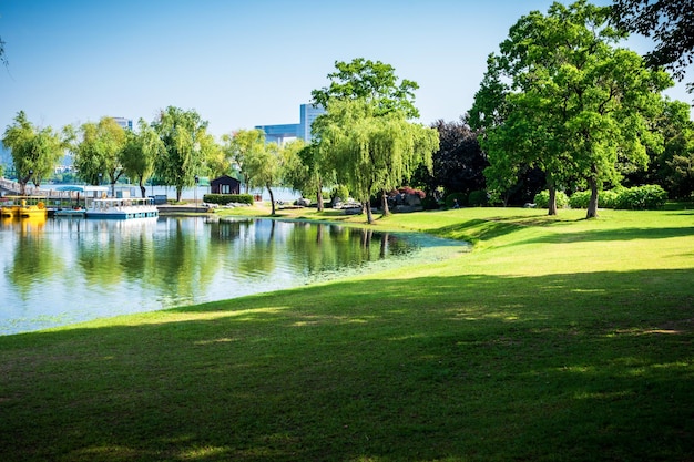 Prachtig stadspark met meerbomen en bergen