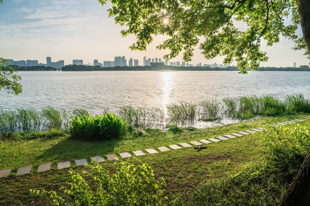 Prachtig stadspark met meerbomen en bergen