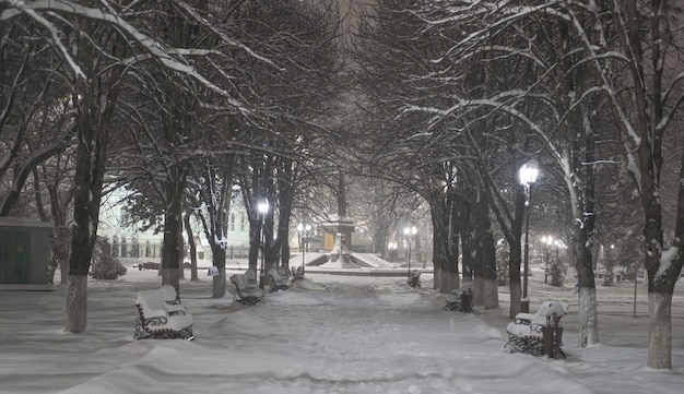 Prachtig stadspark tijdens zware sneeuwval met veel sneeuw