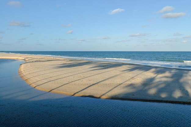 Prachtig strand conde in de buurt van joao pessoa paraiba brazil