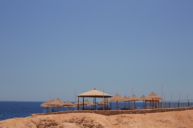 Prachtig strand met parasols in Egypte