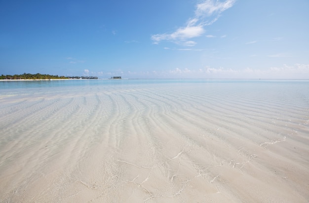 Prachtig strand op de Malediven.