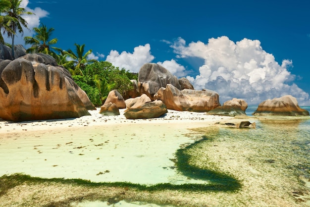 Prachtig strand op de Seychellen