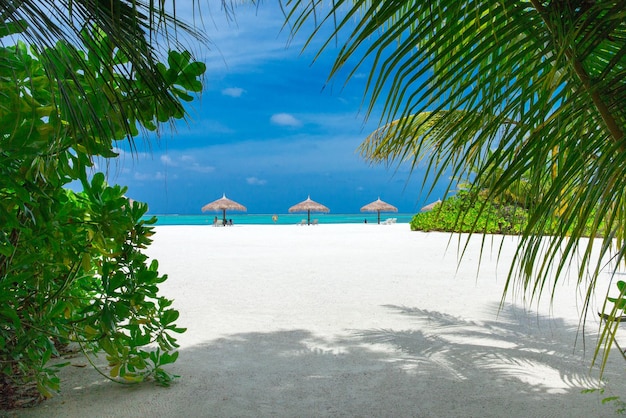 Prachtig tropisch eiland op de Malediven met strand