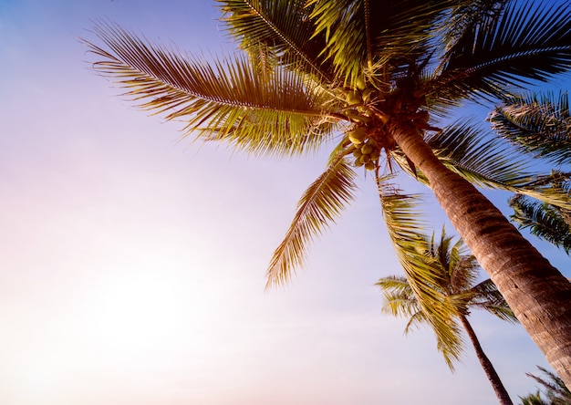 Prachtig tropisch strand met palmbomen.