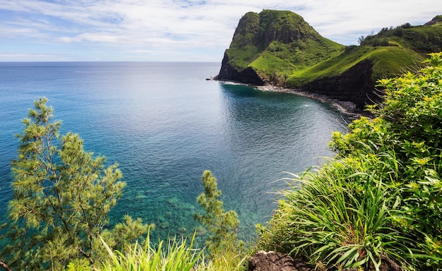 Prachtig tropisch strand op het eiland Maui, Hawaii