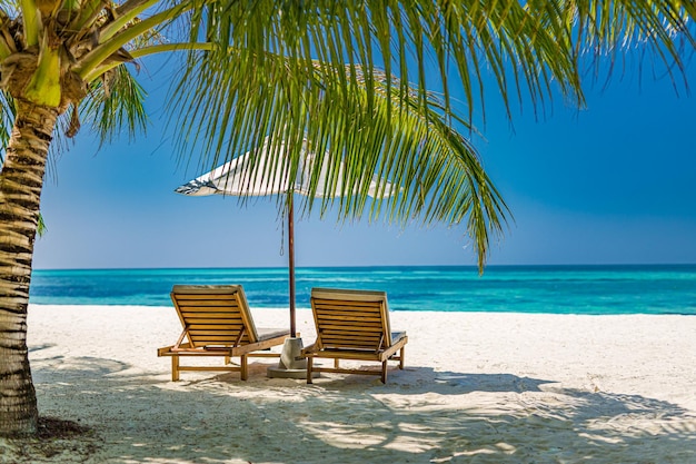 Prachtig tropisch strand. Witte zand kokospalmen reizen toerisme, stoelen paraplu. Zomer aan zee