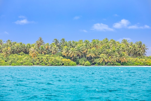 Prachtig tropisch strandlandschap. Natuurkust, reistoerisme exotisch landschap. Lagune van palmbomen