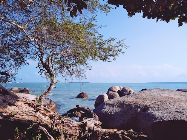 Prachtig tropisch Teluk Gembira-strand in Belitung. Membalong, Belitung-eiland, Indonesië.