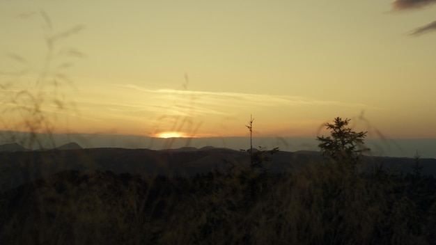 Prachtig uitzicht bergketen bij zonsondergang Kleurrijke hemel in de schemering over platteland Natuurlijk landschap met zomerbergen Breed geschoten bergterrein omringd door bomen