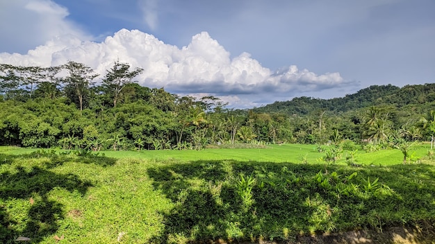 PRACHTIG UITZICHT IN INDONESIË