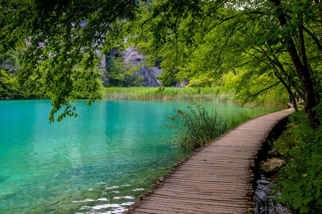 Prachtig uitzicht in Nationaal Park Plitvicemeren, Kroatië