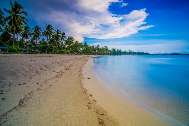 prachtig uitzicht met kokospalmen langs het strand op het eiland Bintan