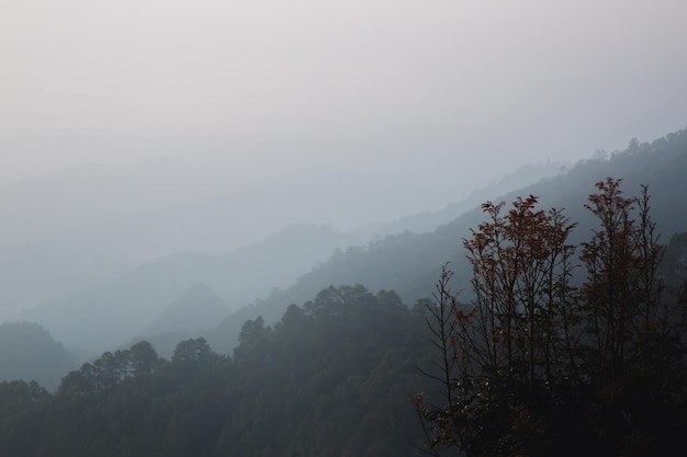 Prachtig uitzicht op bergen en witte mist