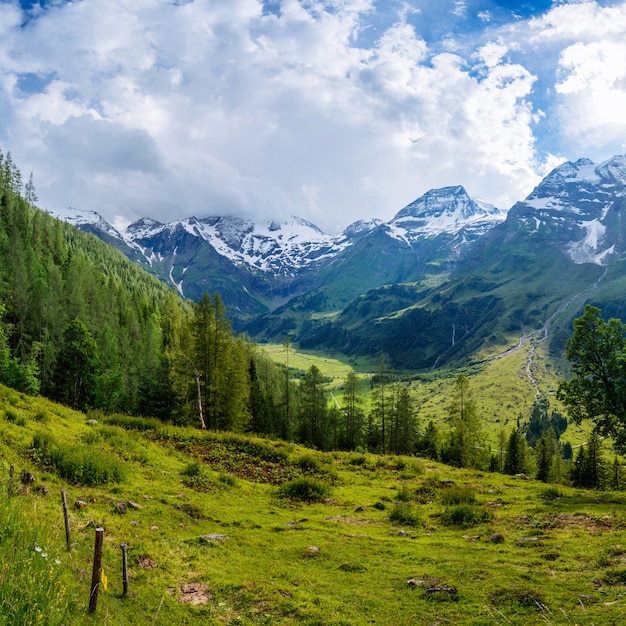 Prachtig uitzicht op de Alpen