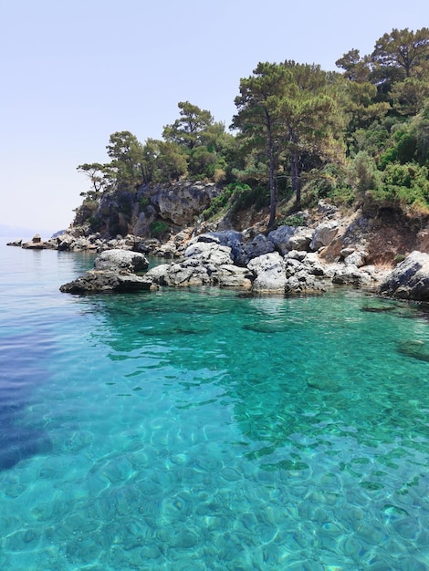 Prachtig uitzicht op de azuurblauwe kust, rotsen en pijnbomen De Egeïsche zee Turkije Kusadasi