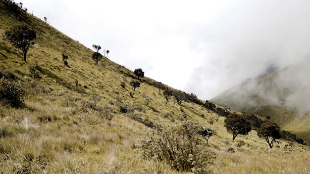 Prachtig uitzicht op de berg Merbabu