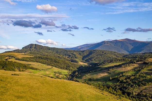 Prachtig uitzicht op de bergtoppen bedekt met groen bos