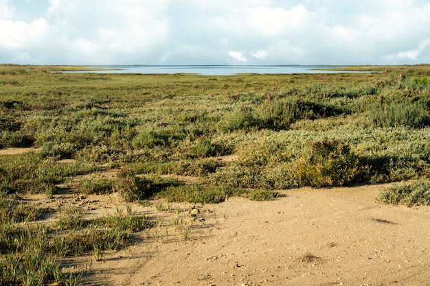 Prachtig uitzicht op de beroemde natuurlijke Ria Formosa moerassen gelegen in Faro, Portugal.