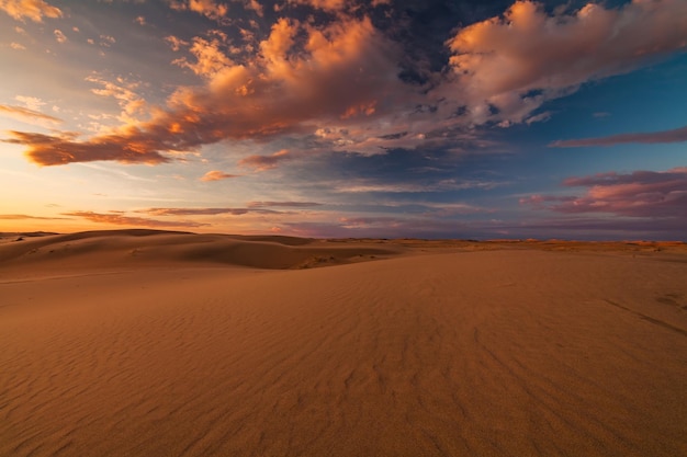 Prachtig uitzicht op de Gobi-woestijn Mongolië