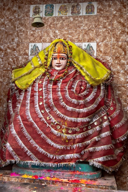 Prachtig uitzicht op de godin Padmavati Mata India