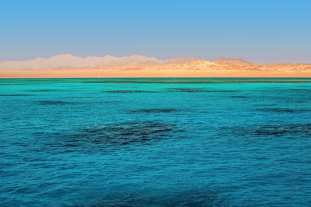 Prachtig uitzicht op de gouden bergkust vanaf de azuurblauwe zee rode zee egypte