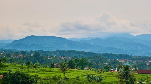 Prachtig uitzicht op de heuvels en rijstvelden, West-Java, Indonesië