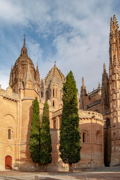 Prachtig uitzicht op de kathedraal van Salamanca