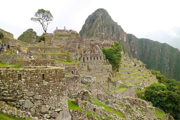 Prachtig uitzicht op de oude Inca-citadel van Machu Picchu in de vroege ochtend met weinig bezoekers Peru