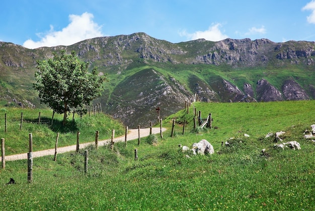 Prachtig uitzicht op de Picos de Europa Spanje