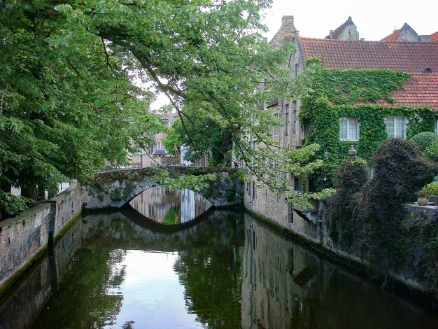 Prachtig uitzicht op de rivier de oude stad en de brug op een zomerse dag Brugge België