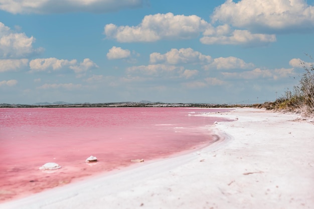 Prachtig uitzicht op de roze zee