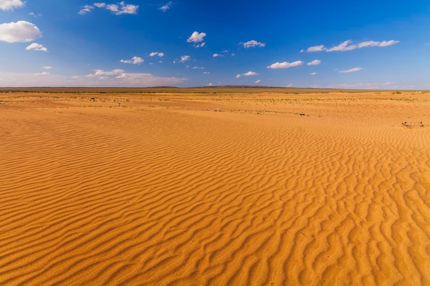 Prachtig uitzicht op de Saharawoestijn