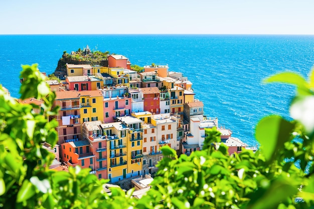 Prachtig uitzicht op de stad Manarola, nationaal park Cinque Terre, Ligurië, Italië