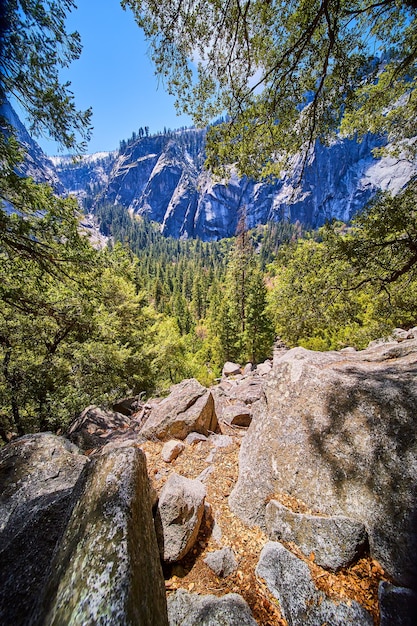 Prachtig uitzicht op de Yosemite-bergen vanaf de uitstulping van rotsblokken door pijnbomen