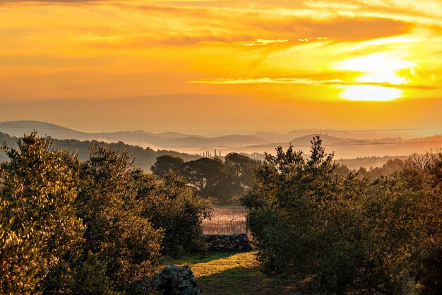 Prachtig uitzicht op de zonsondergang vanaf een olijfgaard in Canyelles, Barcelona.