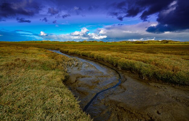 Foto prachtig uitzicht op een beek in het midden van het veld tegen de lucht