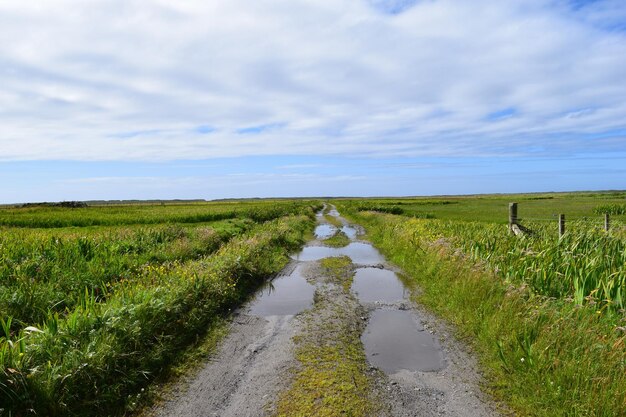 Foto prachtig uitzicht op een landbouwveld tegen de lucht