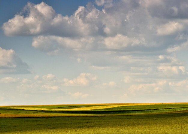 Prachtig uitzicht op een landbouwveld tegen de lucht