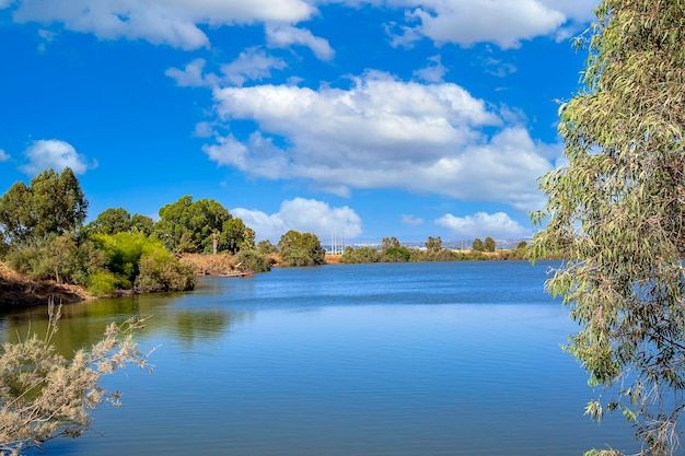 Prachtig uitzicht op een meer omringd door kleurrijke loofbomen in de zomer onder een hemel met pluizige wolken Groen bos aan de oever van het meer Heldere zomermeren landschap in dag Bomen groeien in water