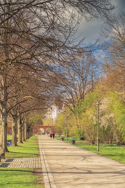 Prachtig uitzicht op een zonnige dag in een park in Duitsland Ingolstadt