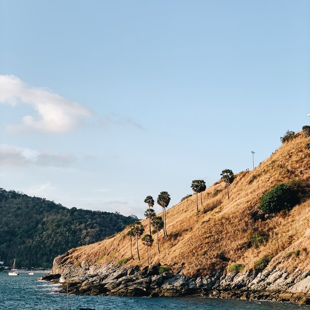 Prachtig uitzicht op exotische rots met eenzame palmbomen, blauwe zee en heldere hemel