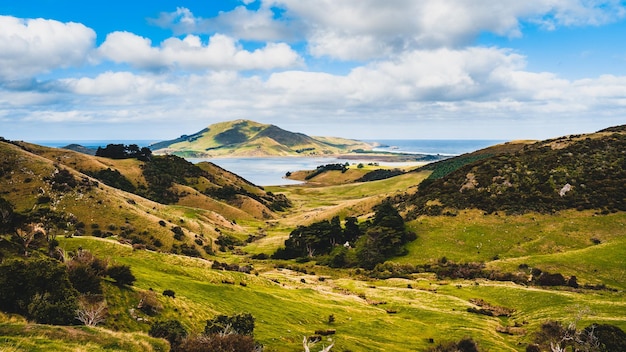 Prachtig uitzicht op groene heuvels bij de oceaan in Dunedin Zuid-eiland Nieuw-Zeeland