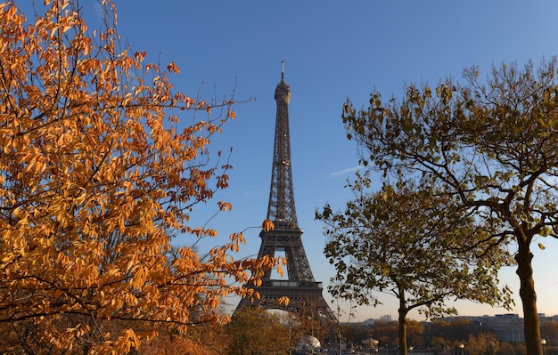 Prachtig uitzicht op herfstbomen met de Eiffeltoren op de voorgrond in Parijs